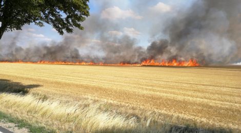 Waldbrandverhütung - Feuerwehr Uelzen gibt Ratschläge in Zusammenarbeit mit dem Waldbrandteam e.V.