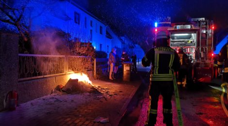 004. B1 - Mülltonnenbrand