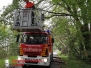 Anforderung DLK - Baum droht auf Straße zu fallen - Gerdau 20.09.2017