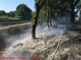 Bahnböschungsbrand, Emmendorf 03.08.15