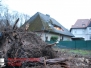 Baum auf Haus, Ebstorfer Straße  09.01.2015