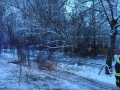 Foto 13.01.17, 08 19 07