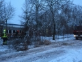 Foto 13.01.17, 08 19 43