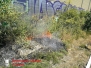F1 – Unklare Rauchentwicklung – Bahnböschungsbrand  Veerßen  04.07.2018