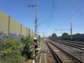 edf