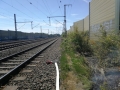 edf