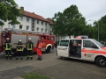 Foto 19.05.17, 11 55 22