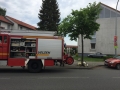 Foto 19.05.17, 11 55 44