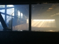 edf