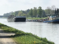 Foto 08.05.17, 08 14 31 (1)