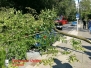 Großer Ast auf Auto - Ebstorfer Straße 03.08.2017