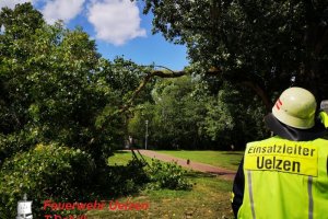Großer Ast droht auf Gehweg zufallen  Parkanlage - Ilmenauwiesen 11.08.2019