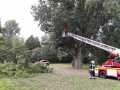 IMG-20190811-WA0009