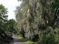IMG_20170622_164404