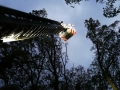 edf