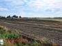 Stoppelfeldbrand - Veerßen  29.06.2018