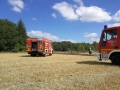 edf