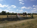 edf