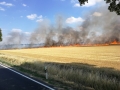 edf