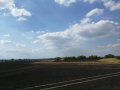 edf