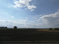 edf