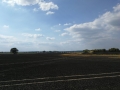 edf