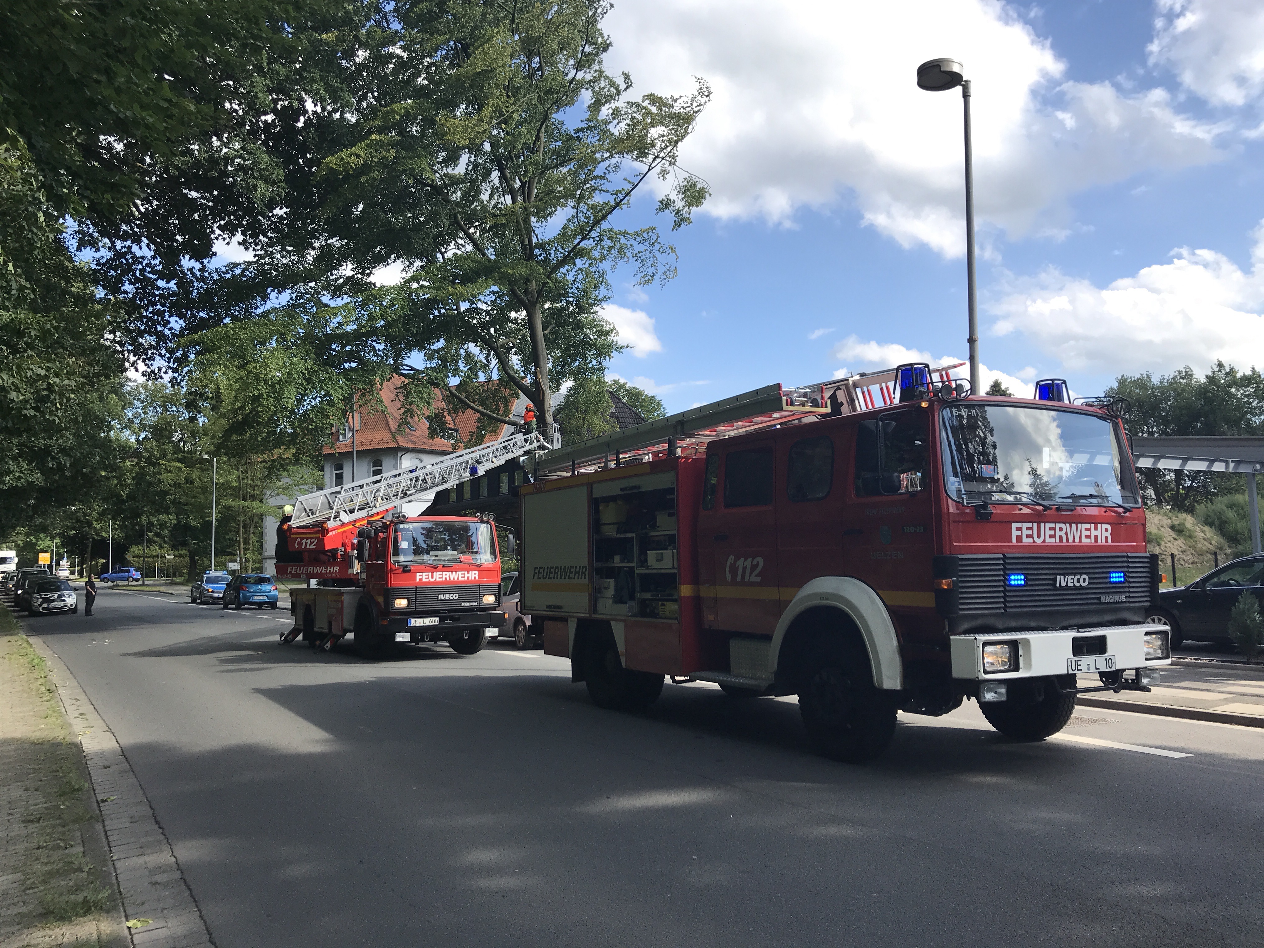 Ast stürzt aufs Auto - nur Blechschaden