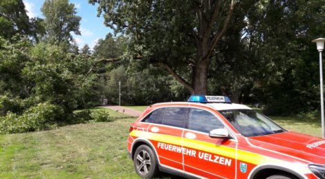 192. Hilfeleistung - - Großer Ast droht auf Gehweg zu fallen