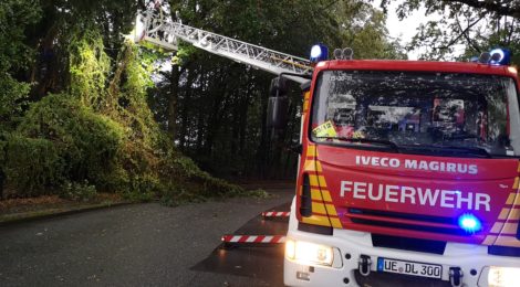 206. Hilfeleistung - - Baum auf Straße - abgebrochene Äste hängen im Baum