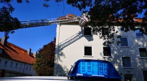 212. Hilfeleistung - - Tierrettung - - Katze auf Dach