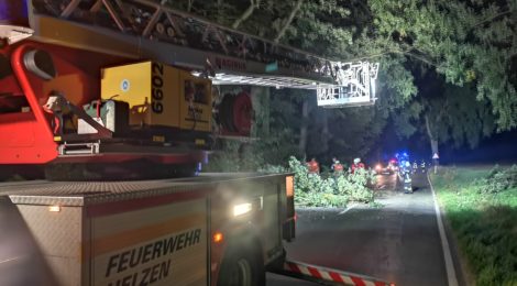 163. Hilfeleistung - - Anforderung DLK - Großer Ast droht auf Straße zu fallen